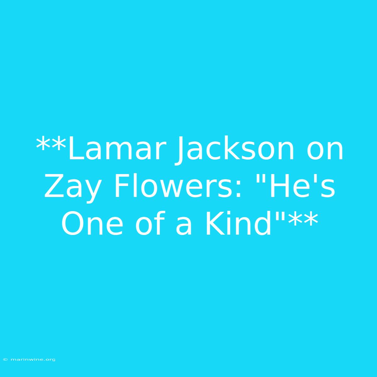 **Lamar Jackson On Zay Flowers: 