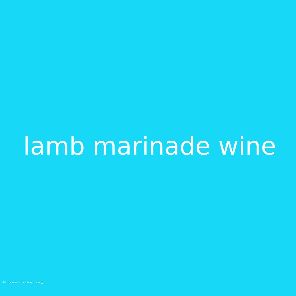 Lamb Marinade Wine