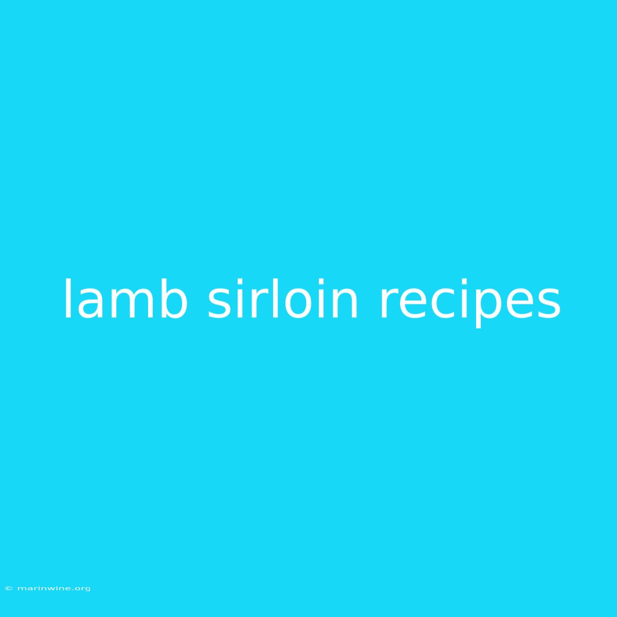 Lamb Sirloin Recipes