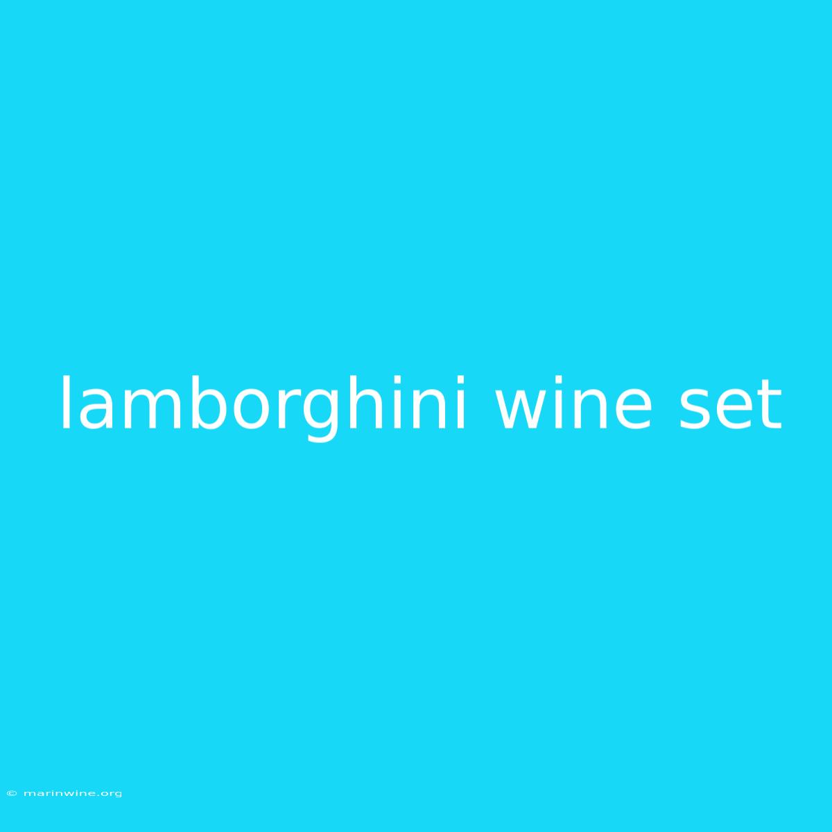 Lamborghini Wine Set