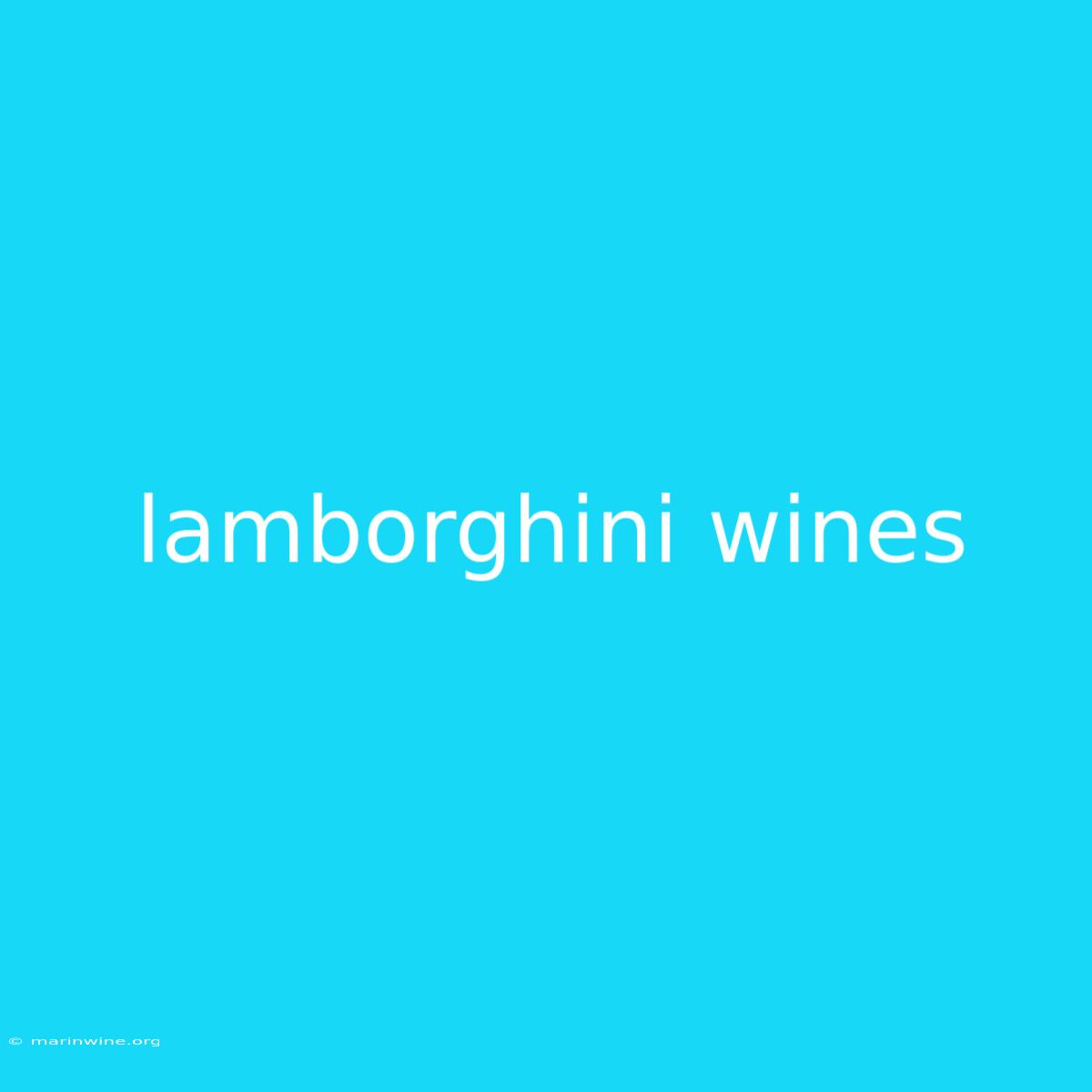 Lamborghini Wines