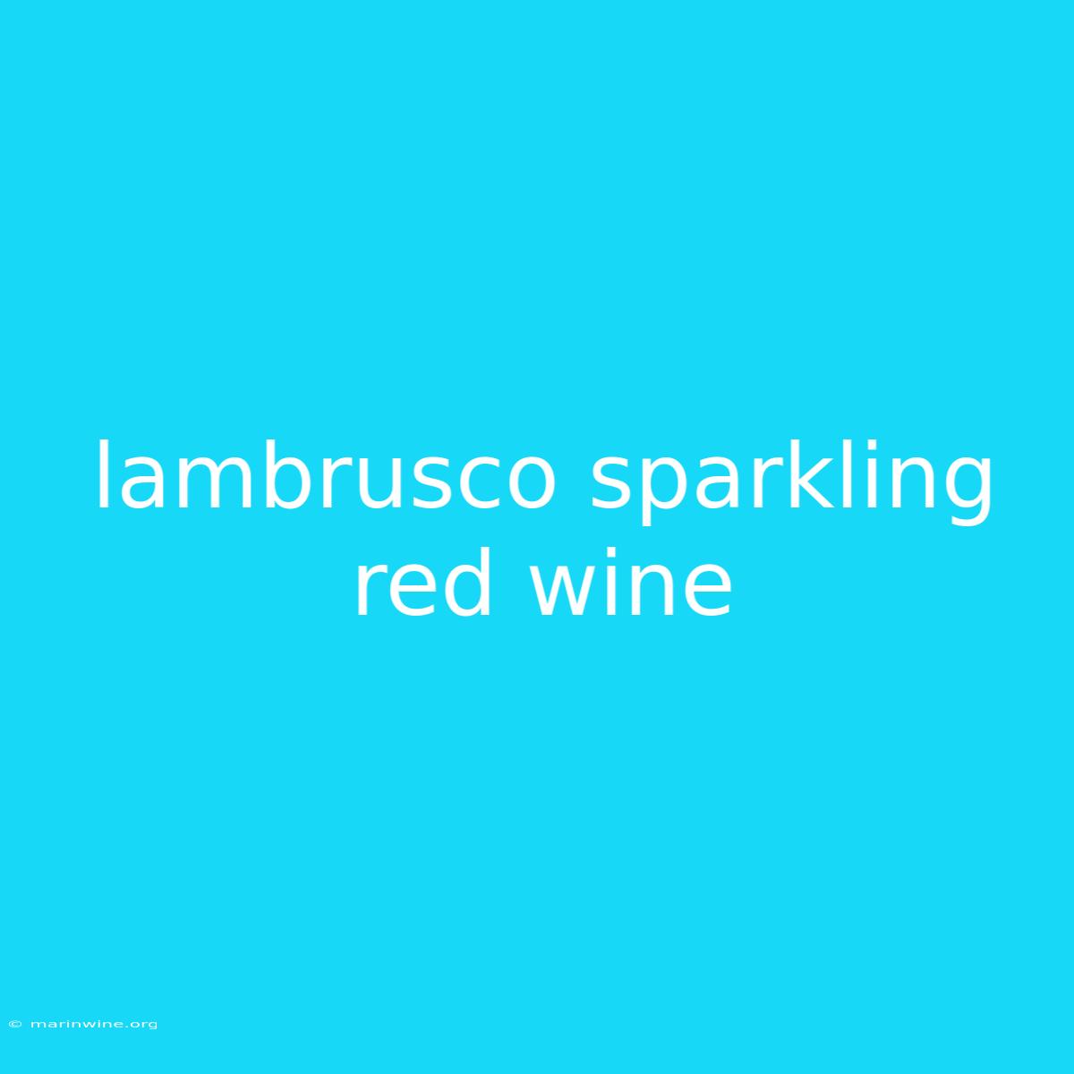 Lambrusco Sparkling Red Wine