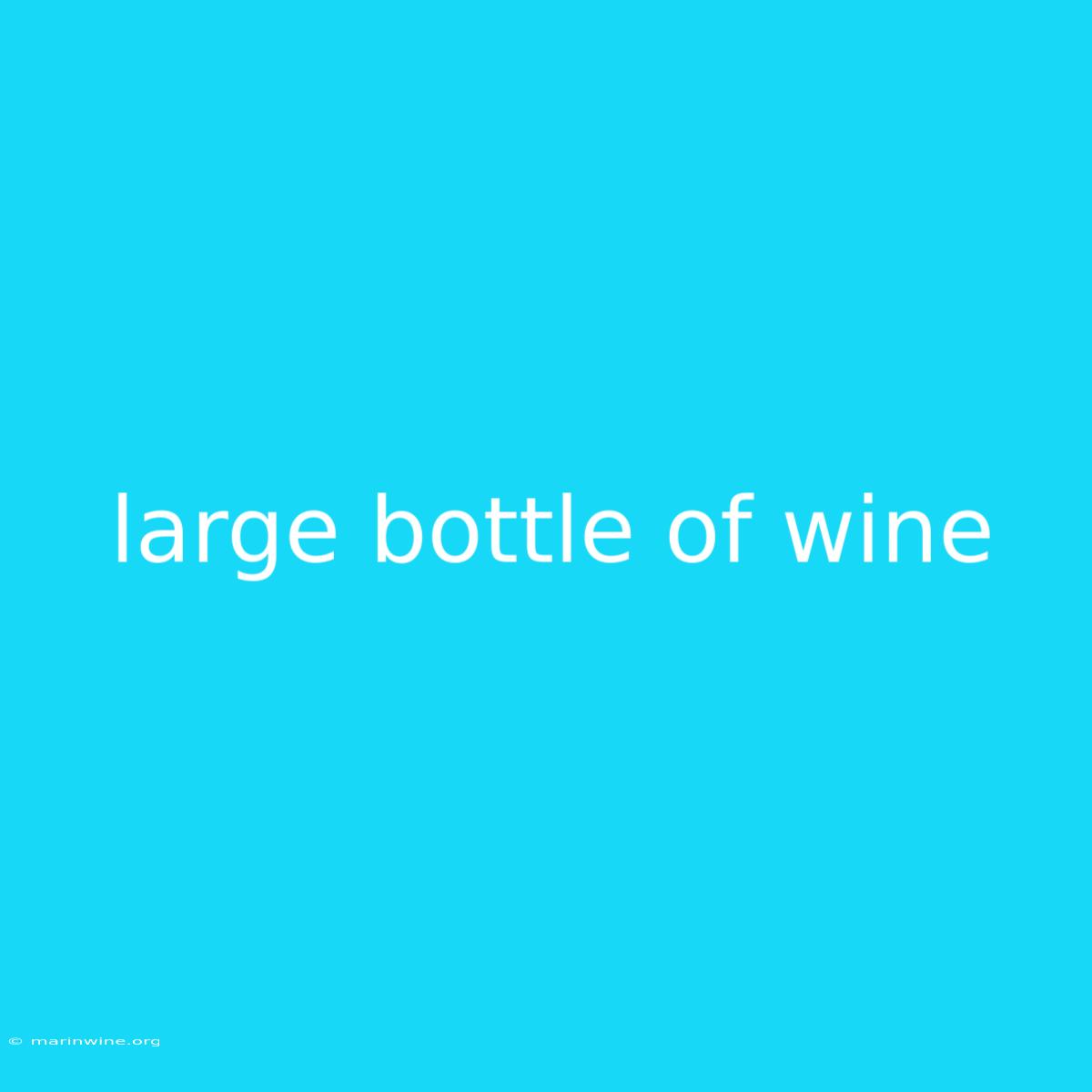 Large Bottle Of Wine