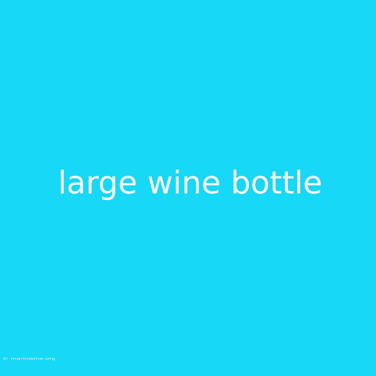 Large Wine Bottle