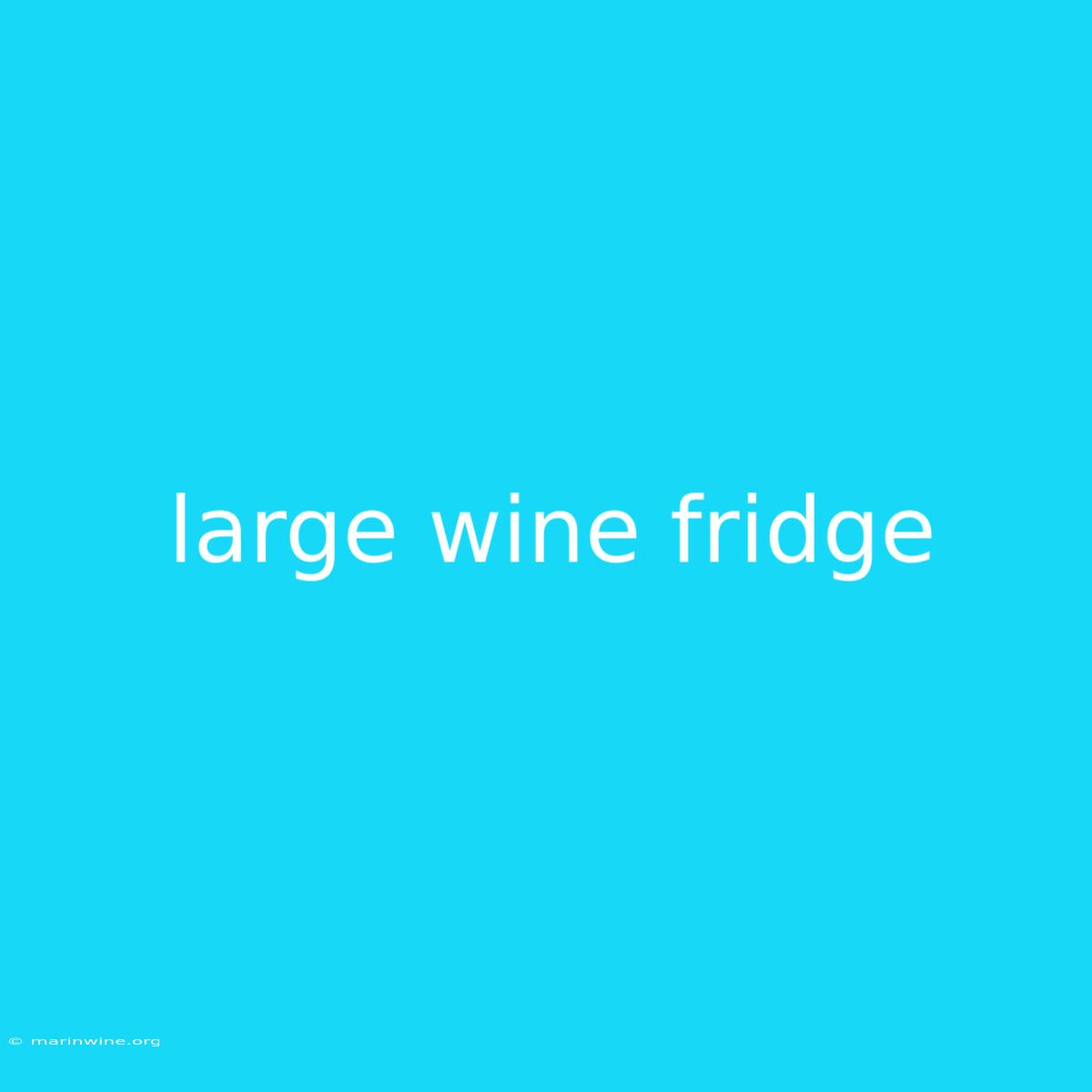 Large Wine Fridge