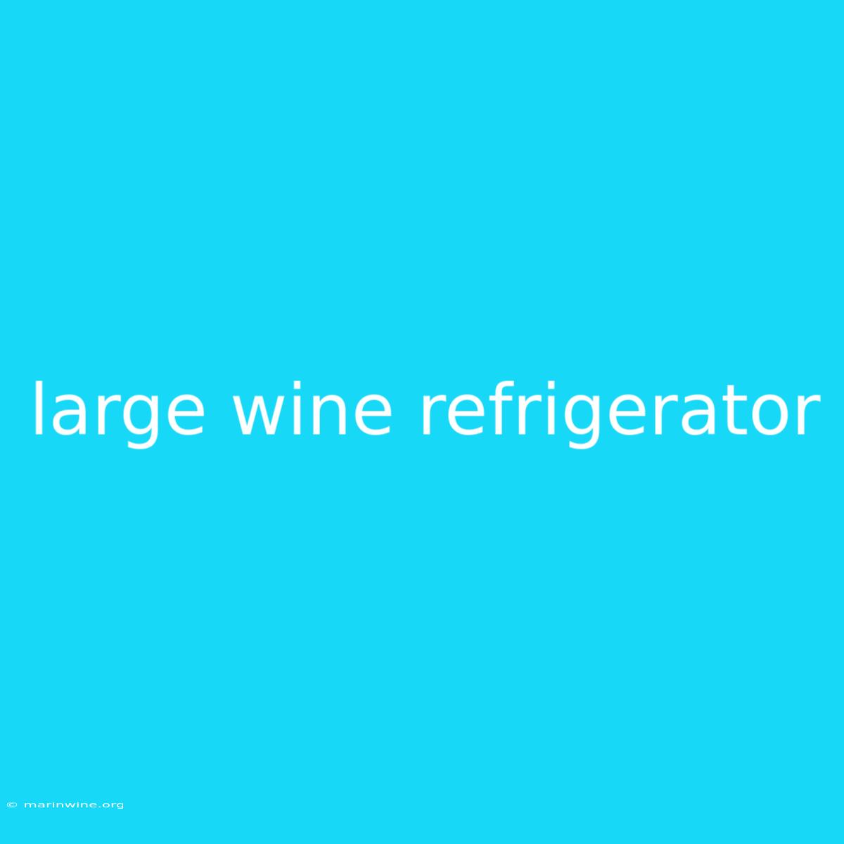 Large Wine Refrigerator