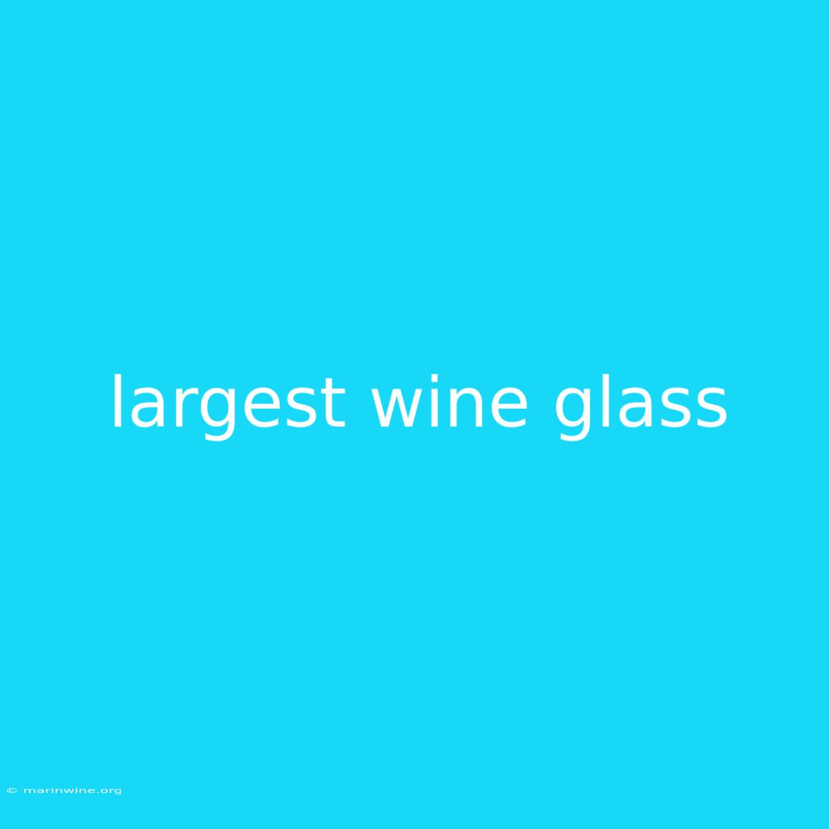 Largest Wine Glass