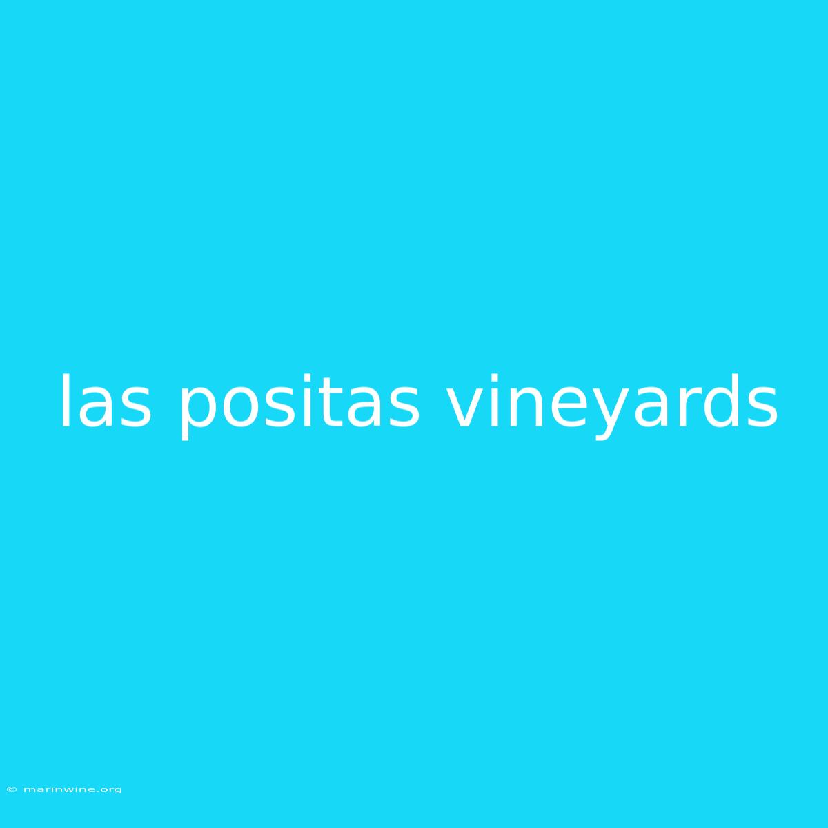 Las Positas Vineyards