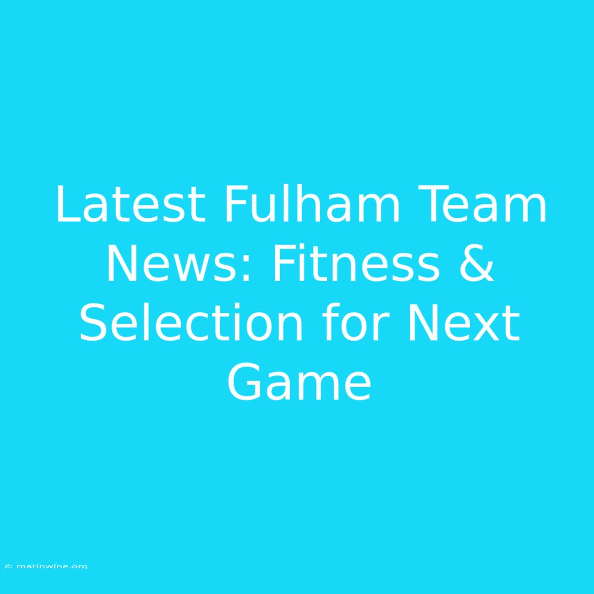 Latest Fulham Team News: Fitness & Selection For Next Game