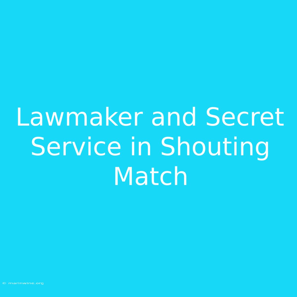 Lawmaker And Secret Service In Shouting Match