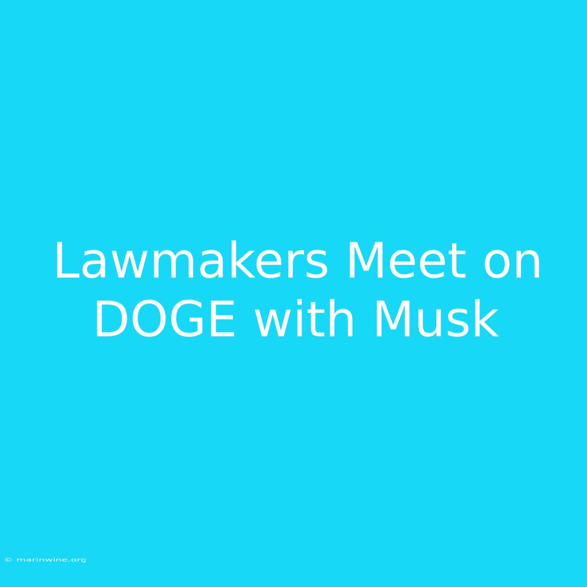 Lawmakers Meet On DOGE With Musk