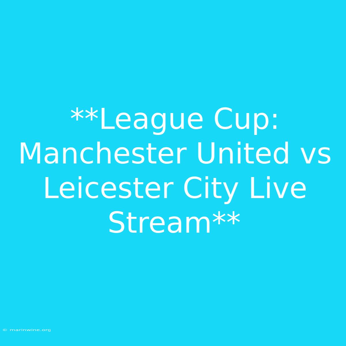 **League Cup: Manchester United Vs Leicester City Live Stream**