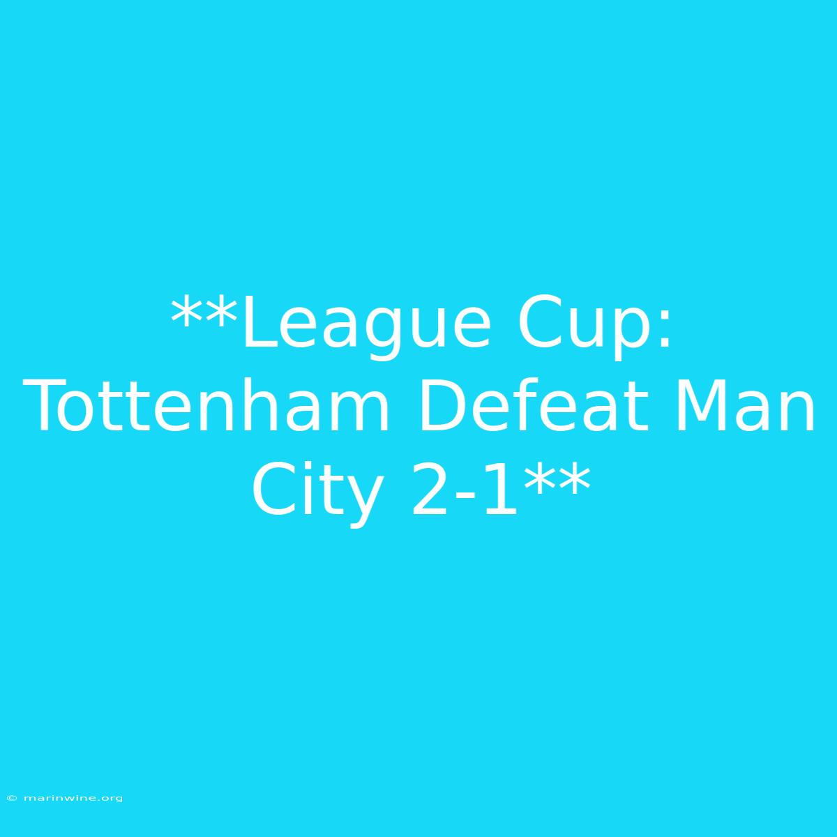 **League Cup: Tottenham Defeat Man City 2-1**