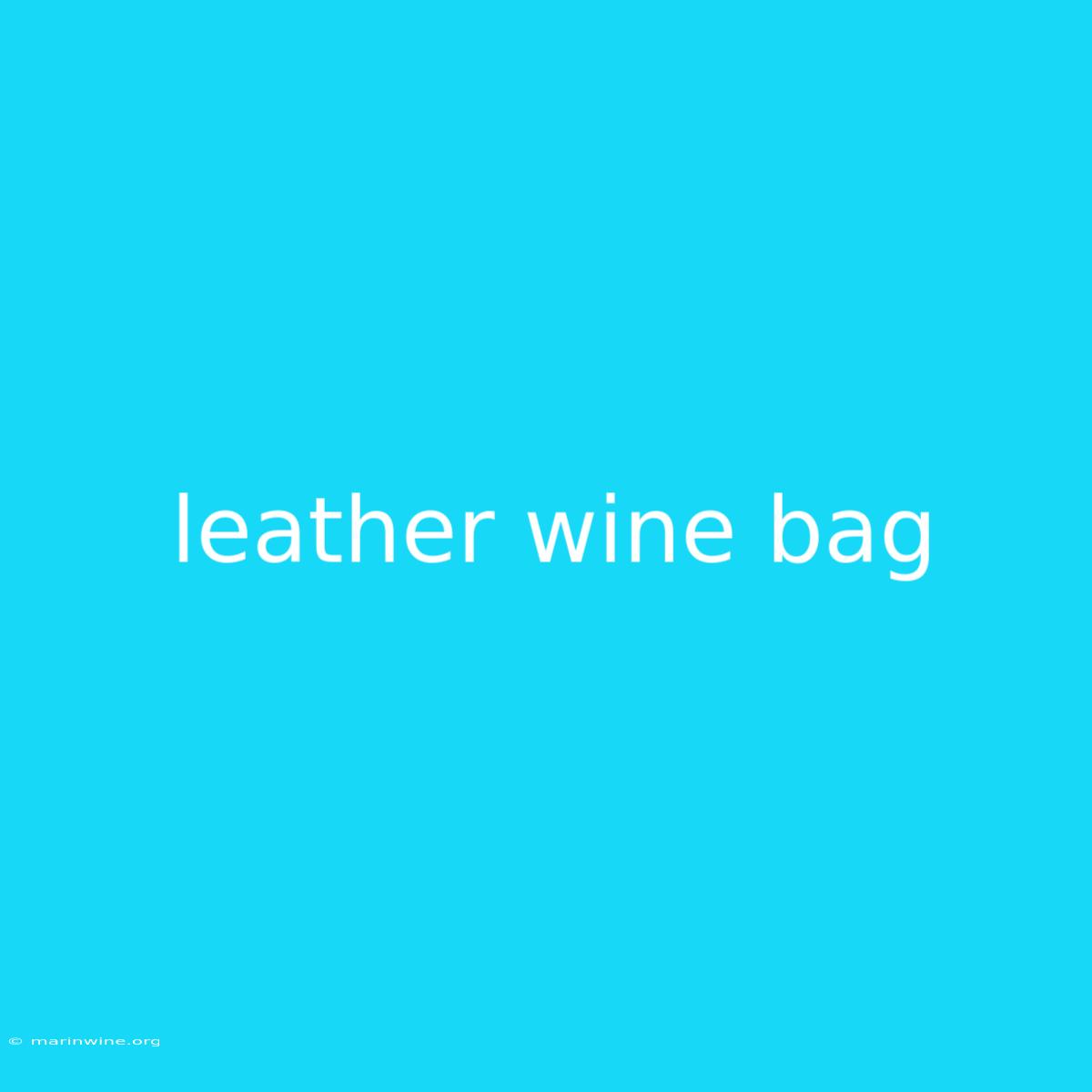 Leather Wine Bag