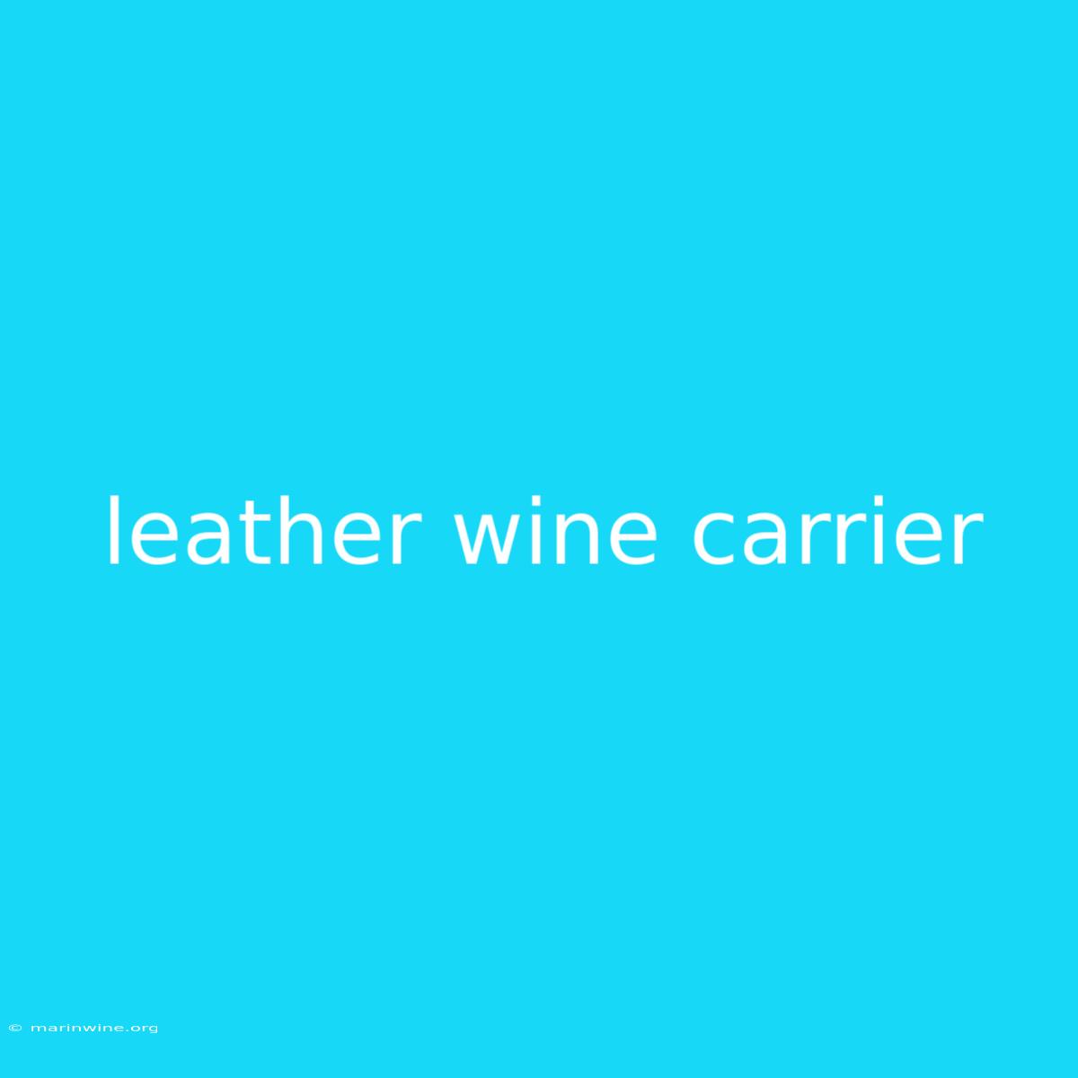 Leather Wine Carrier