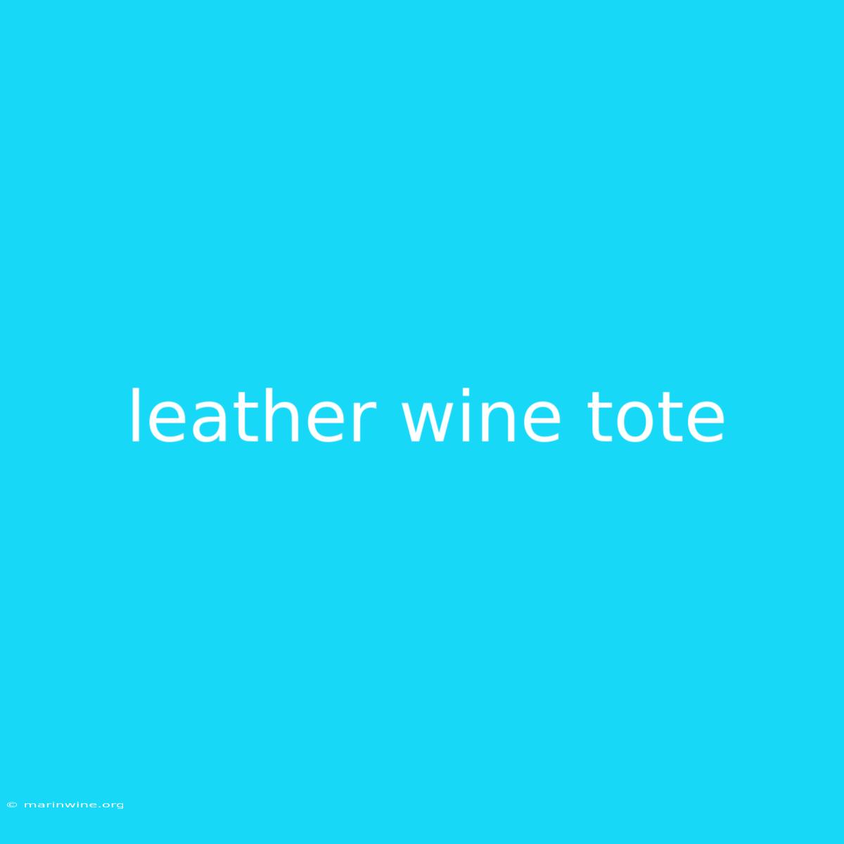 Leather Wine Tote