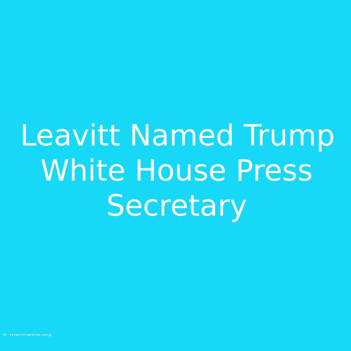 Leavitt Named Trump White House Press Secretary