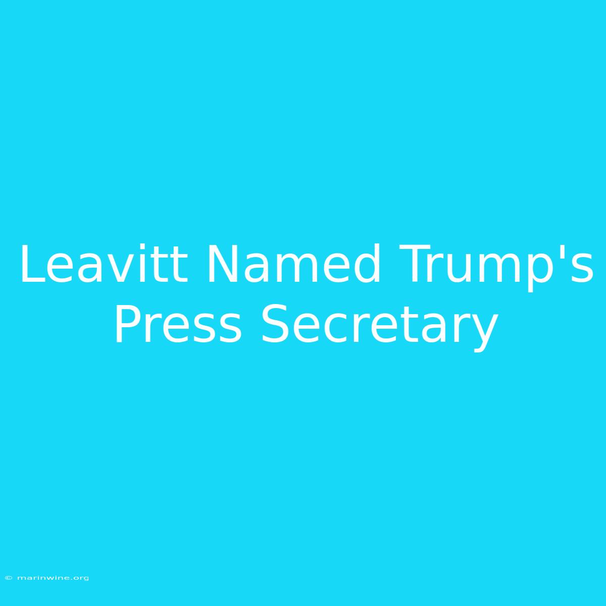 Leavitt Named Trump's Press Secretary