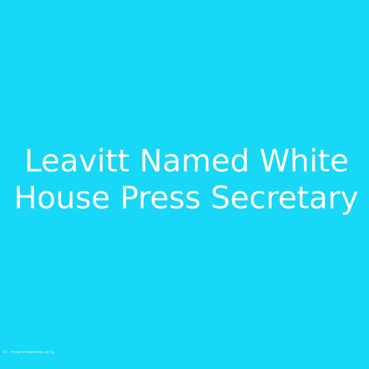 Leavitt Named White House Press Secretary