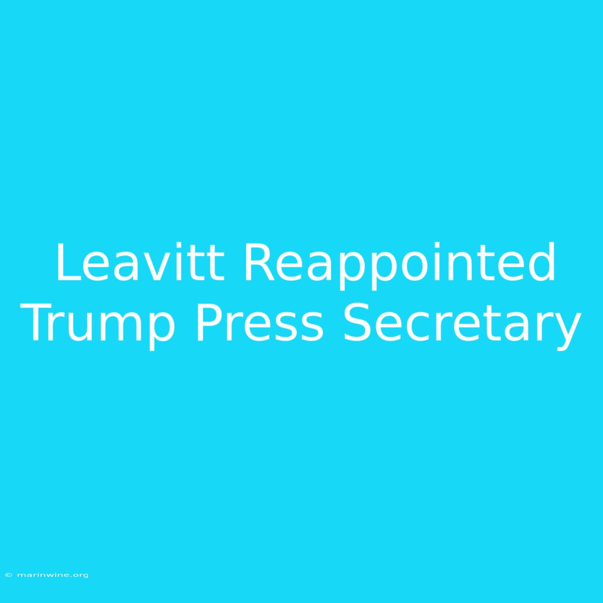 Leavitt Reappointed Trump Press Secretary