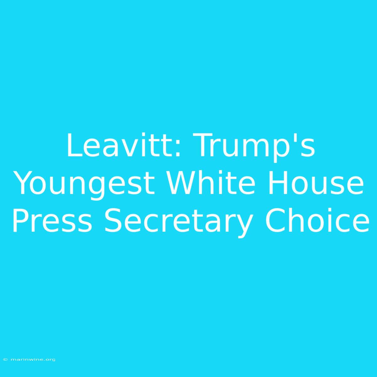 Leavitt: Trump's Youngest White House Press Secretary Choice