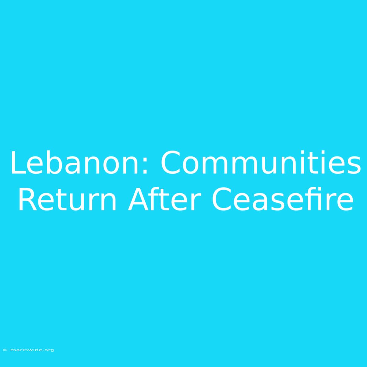 Lebanon: Communities Return After Ceasefire