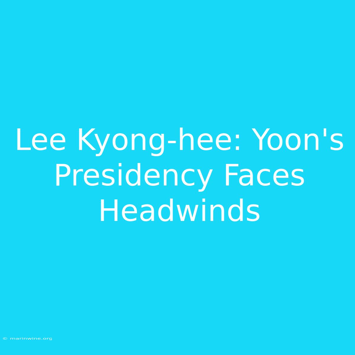 Lee Kyong-hee: Yoon's Presidency Faces Headwinds