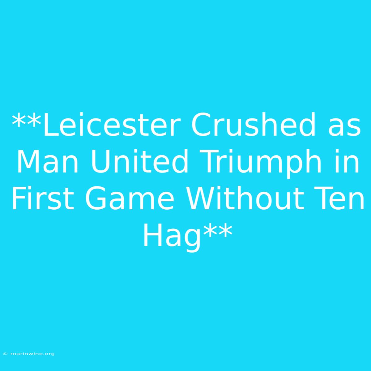 **Leicester Crushed As Man United Triumph In First Game Without Ten Hag** 