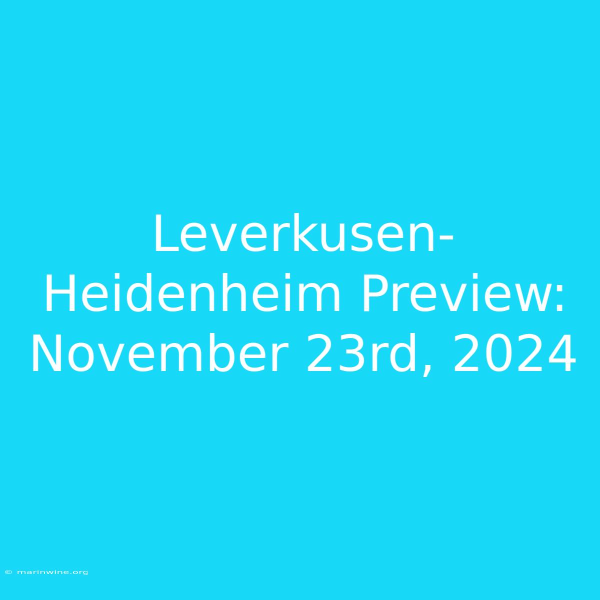 Leverkusen-Heidenheim Preview: November 23rd, 2024