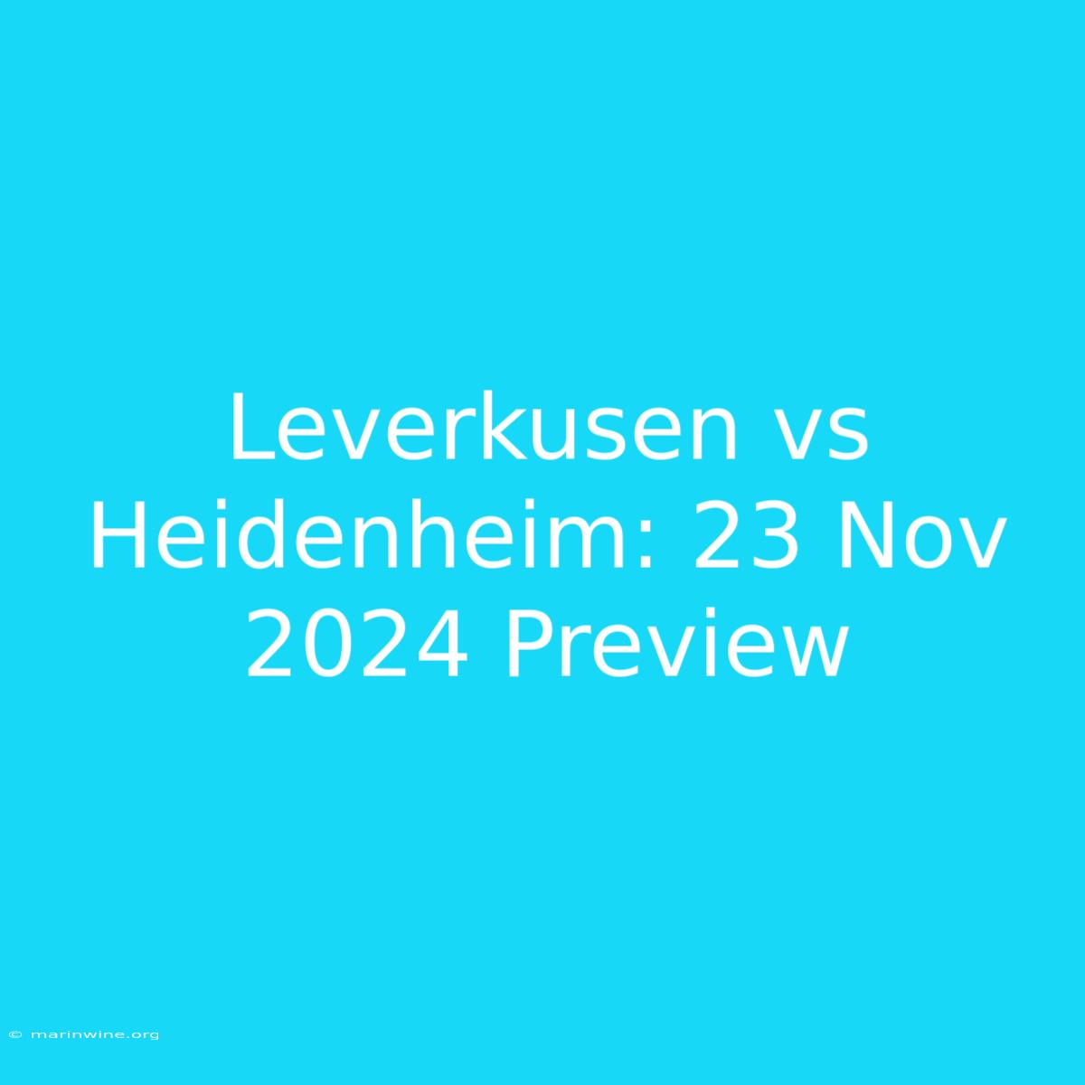 Leverkusen Vs Heidenheim: 23 Nov 2024 Preview