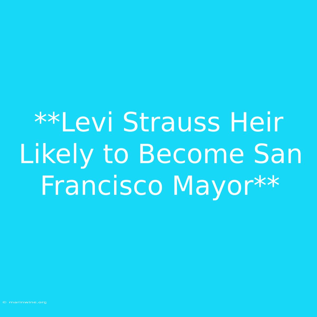 **Levi Strauss Heir Likely To Become San Francisco Mayor**