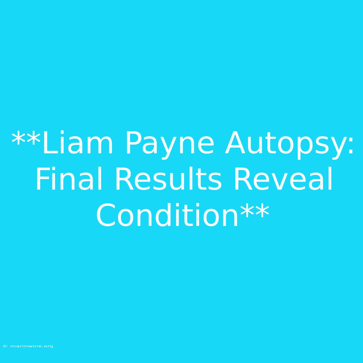 **Liam Payne Autopsy: Final Results Reveal Condition**