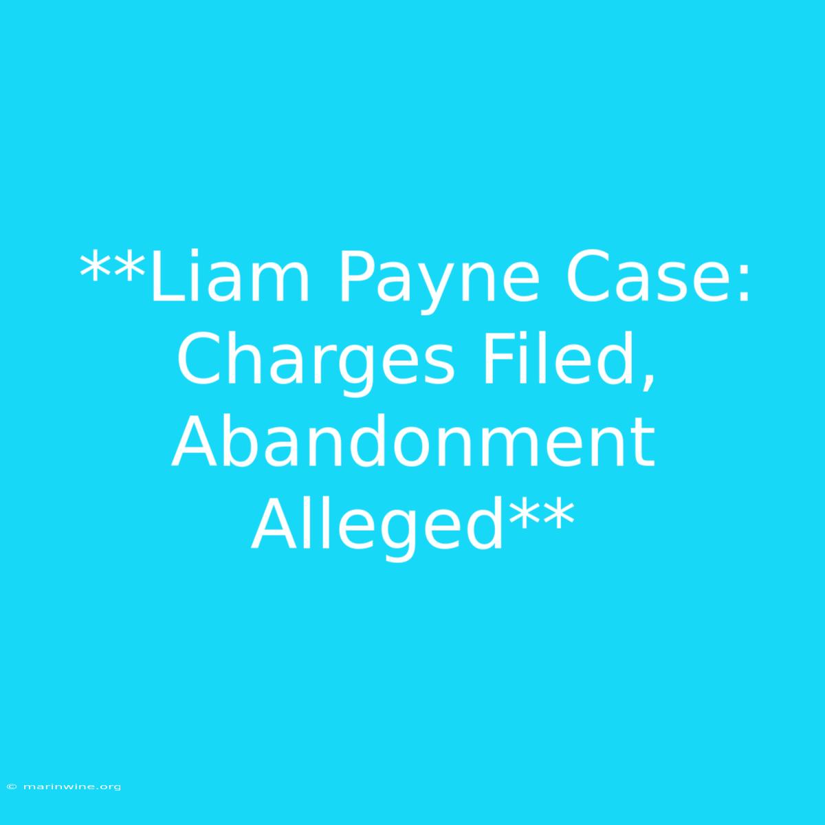 **Liam Payne Case: Charges Filed, Abandonment Alleged** 