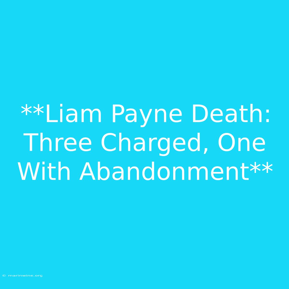 **Liam Payne Death: Three Charged, One With Abandonment** 