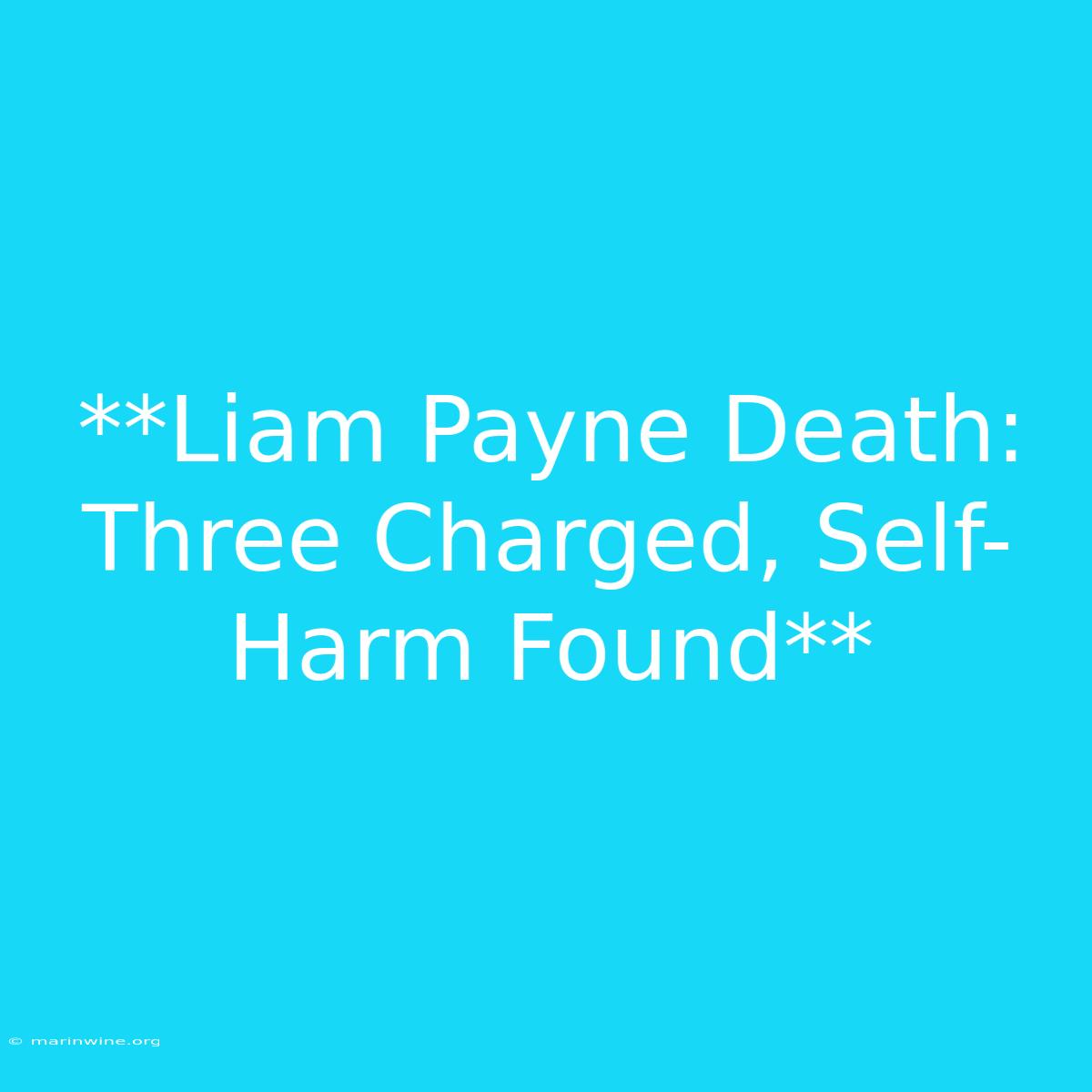 **Liam Payne Death: Three Charged, Self-Harm Found**