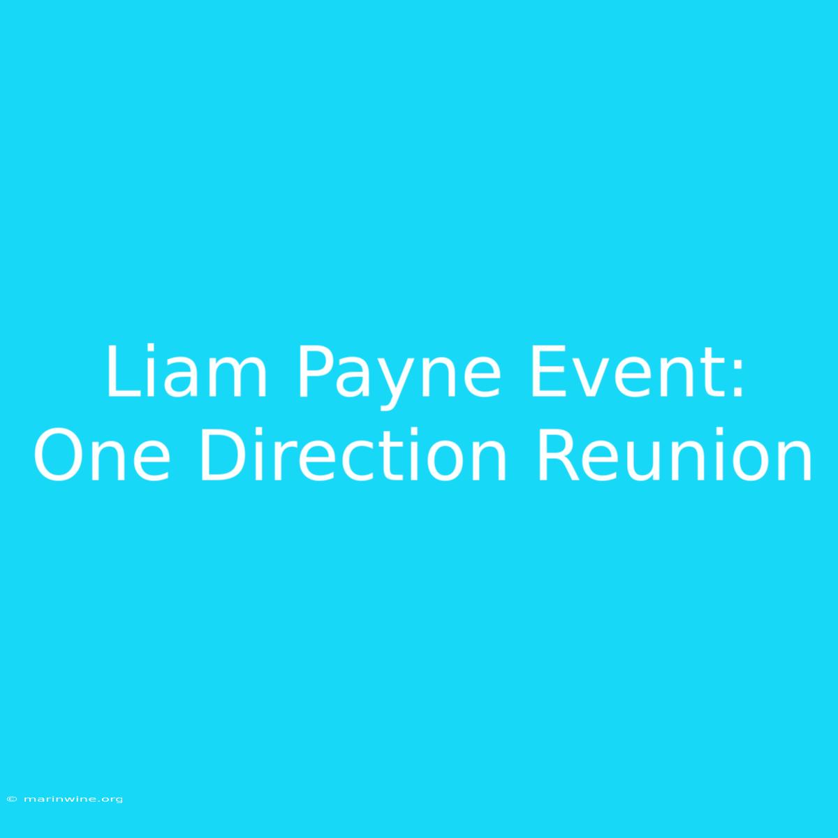 Liam Payne Event: One Direction Reunion