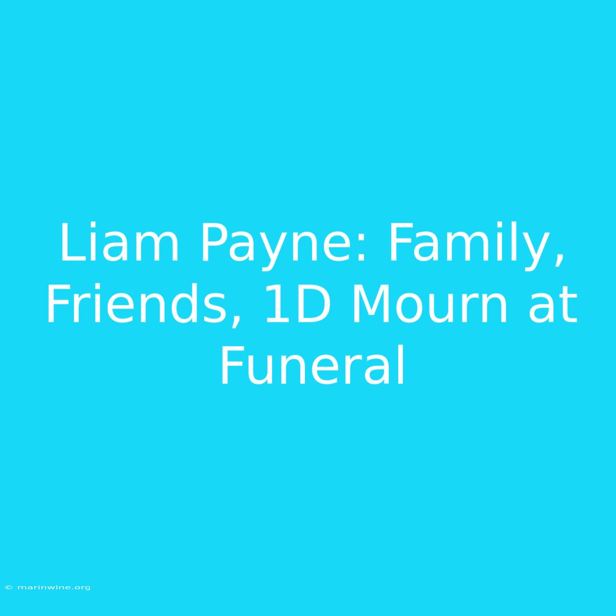 Liam Payne: Family, Friends, 1D Mourn At Funeral