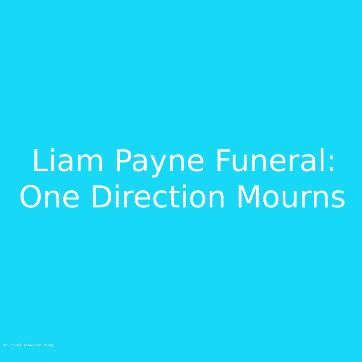 Liam Payne Funeral: One Direction Mourns