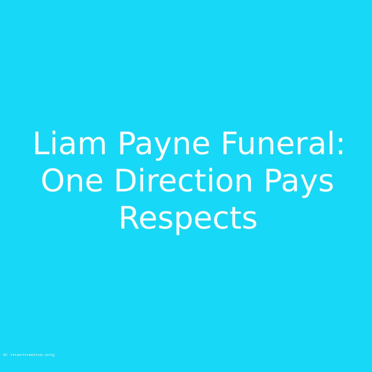 Liam Payne Funeral: One Direction Pays Respects