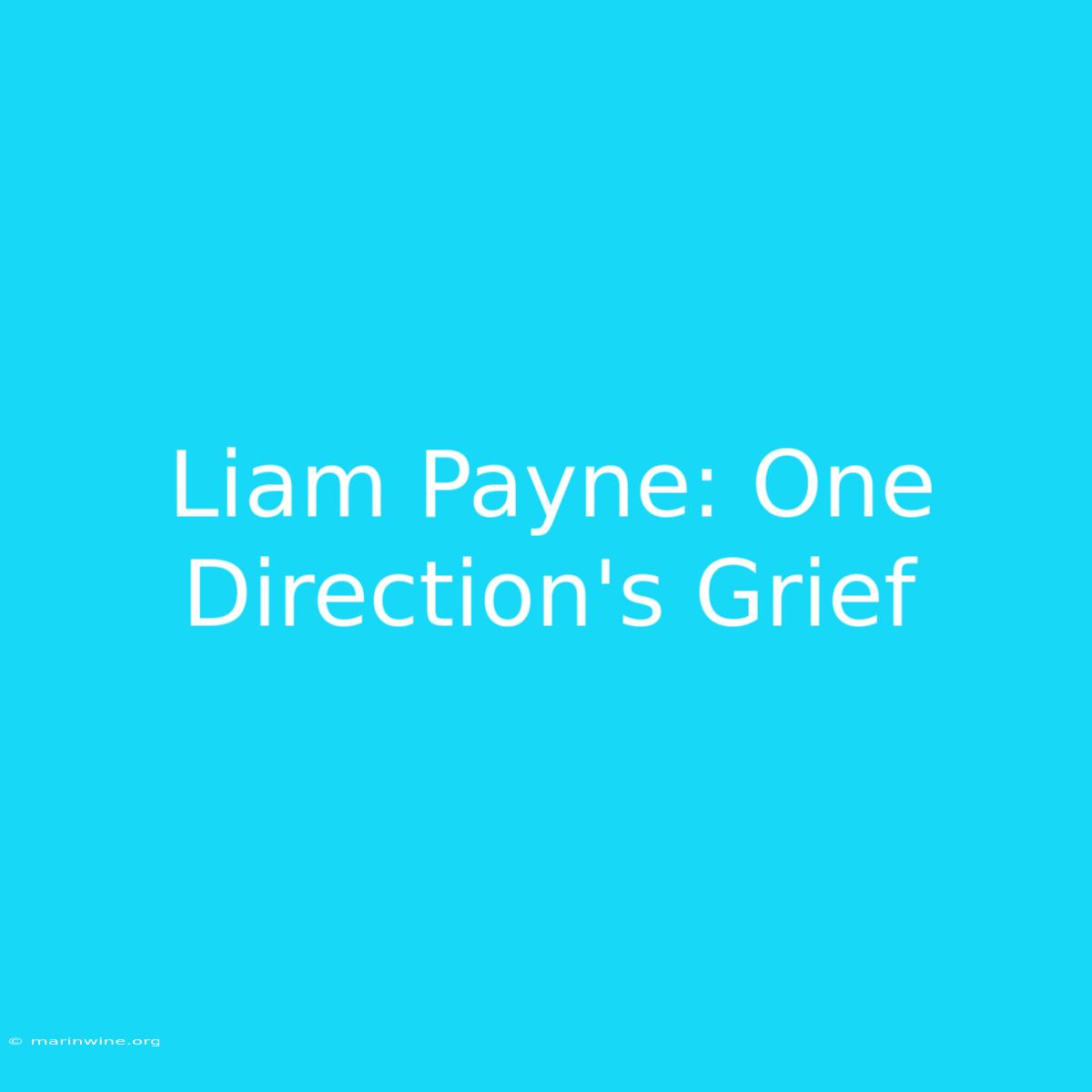 Liam Payne: One Direction's Grief