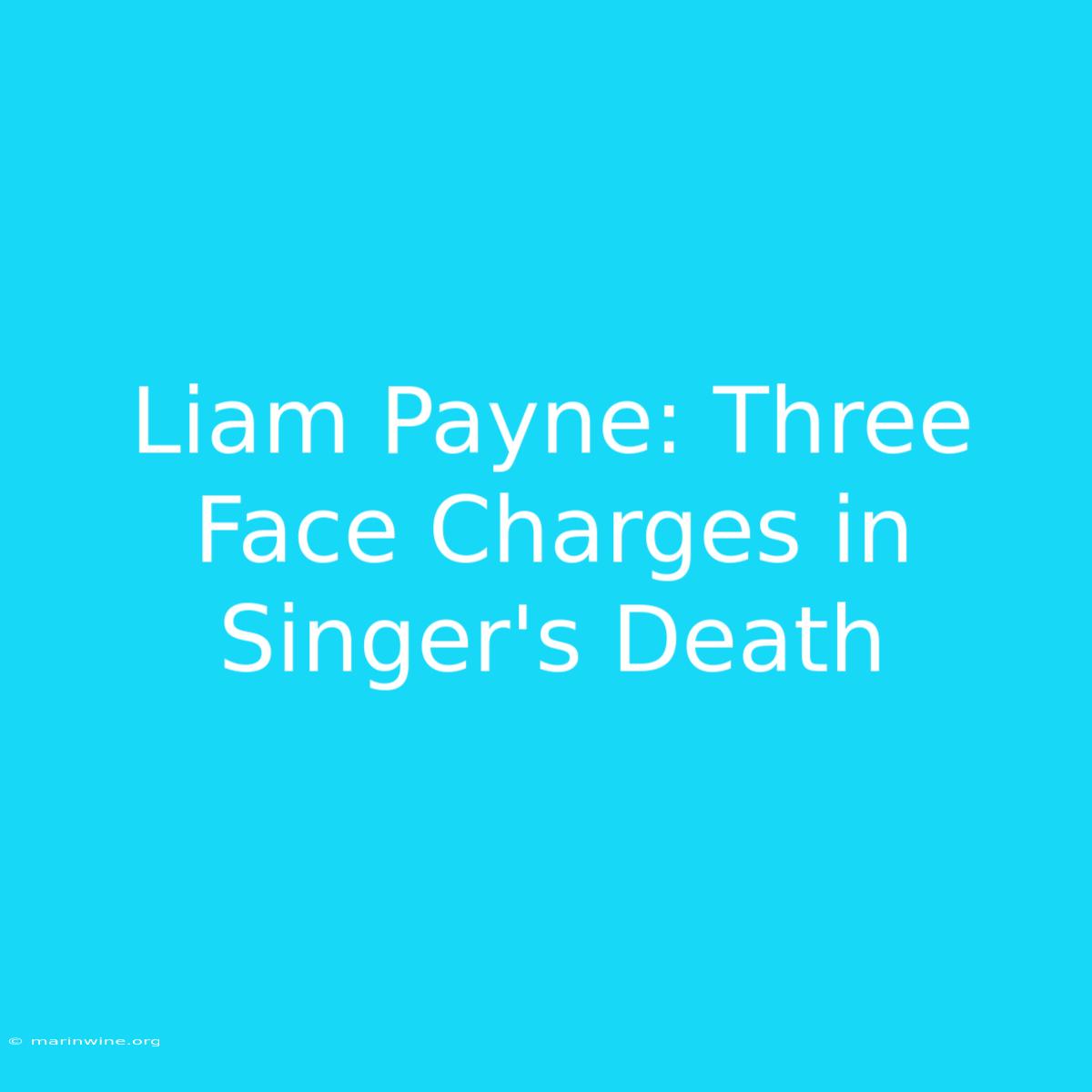 Liam Payne: Three Face Charges In Singer's Death 