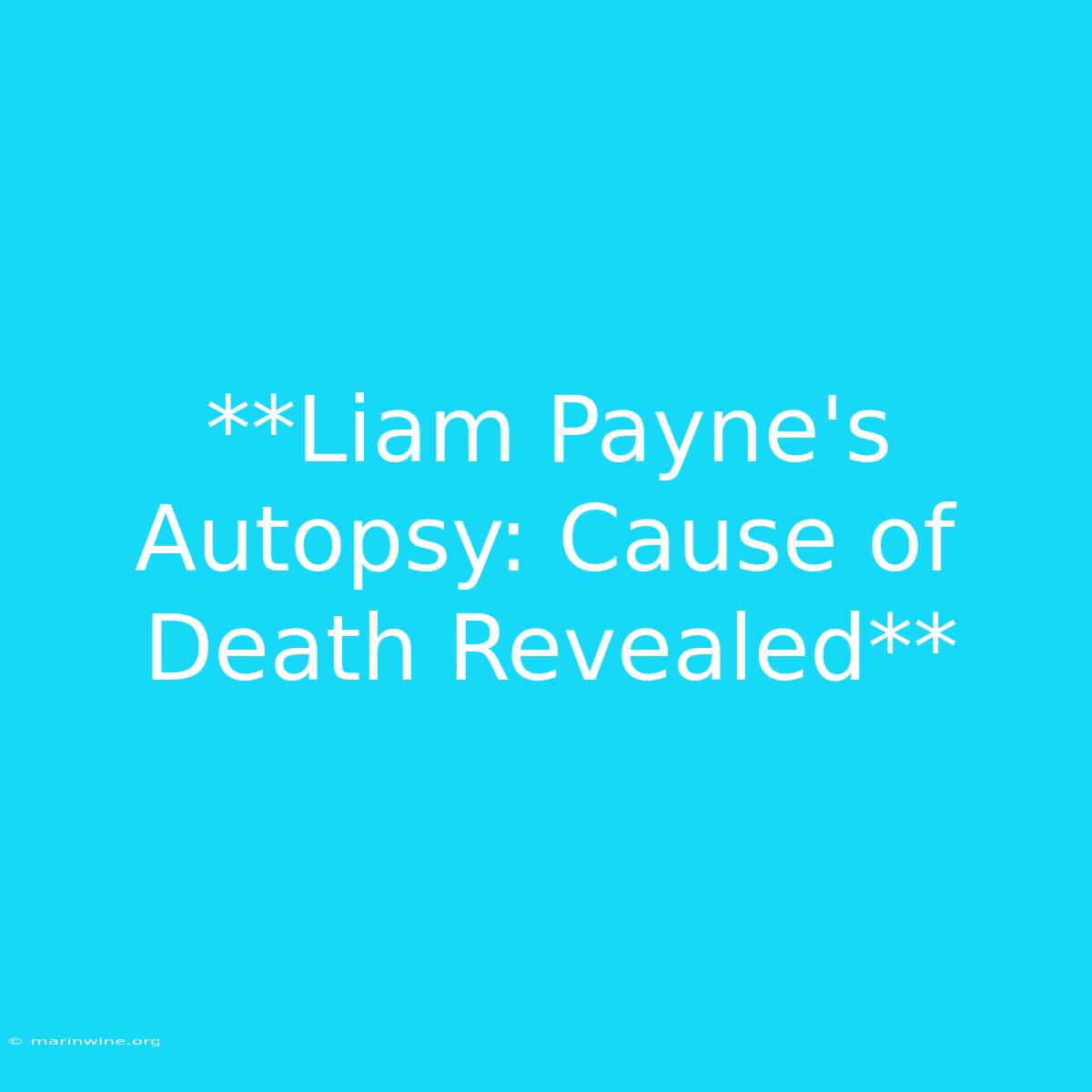 **Liam Payne's Autopsy: Cause Of Death Revealed**