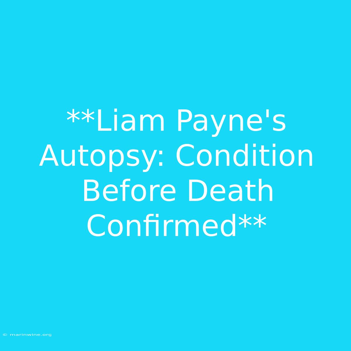 **Liam Payne's Autopsy: Condition Before Death Confirmed** 