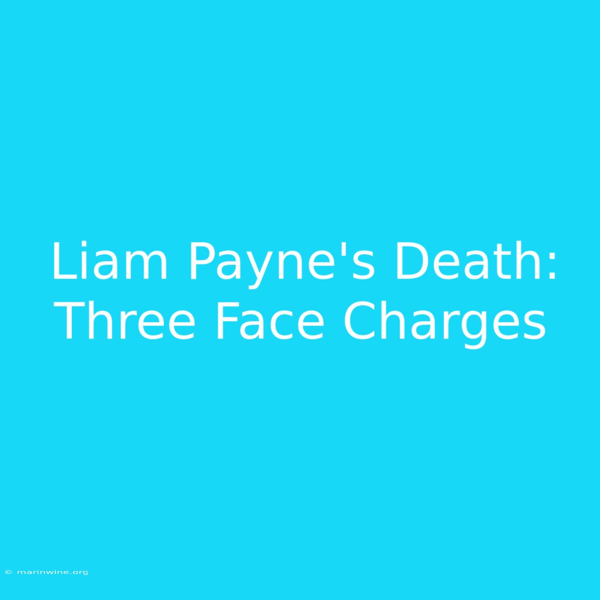 Liam Payne's Death: Three Face Charges