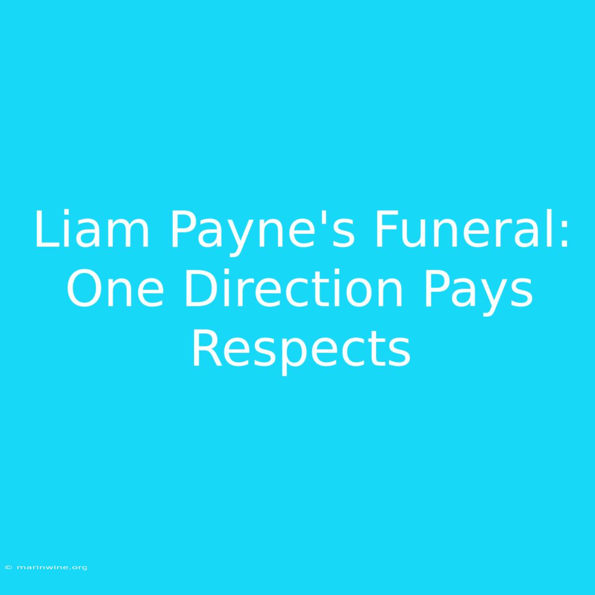 Liam Payne's Funeral: One Direction Pays Respects