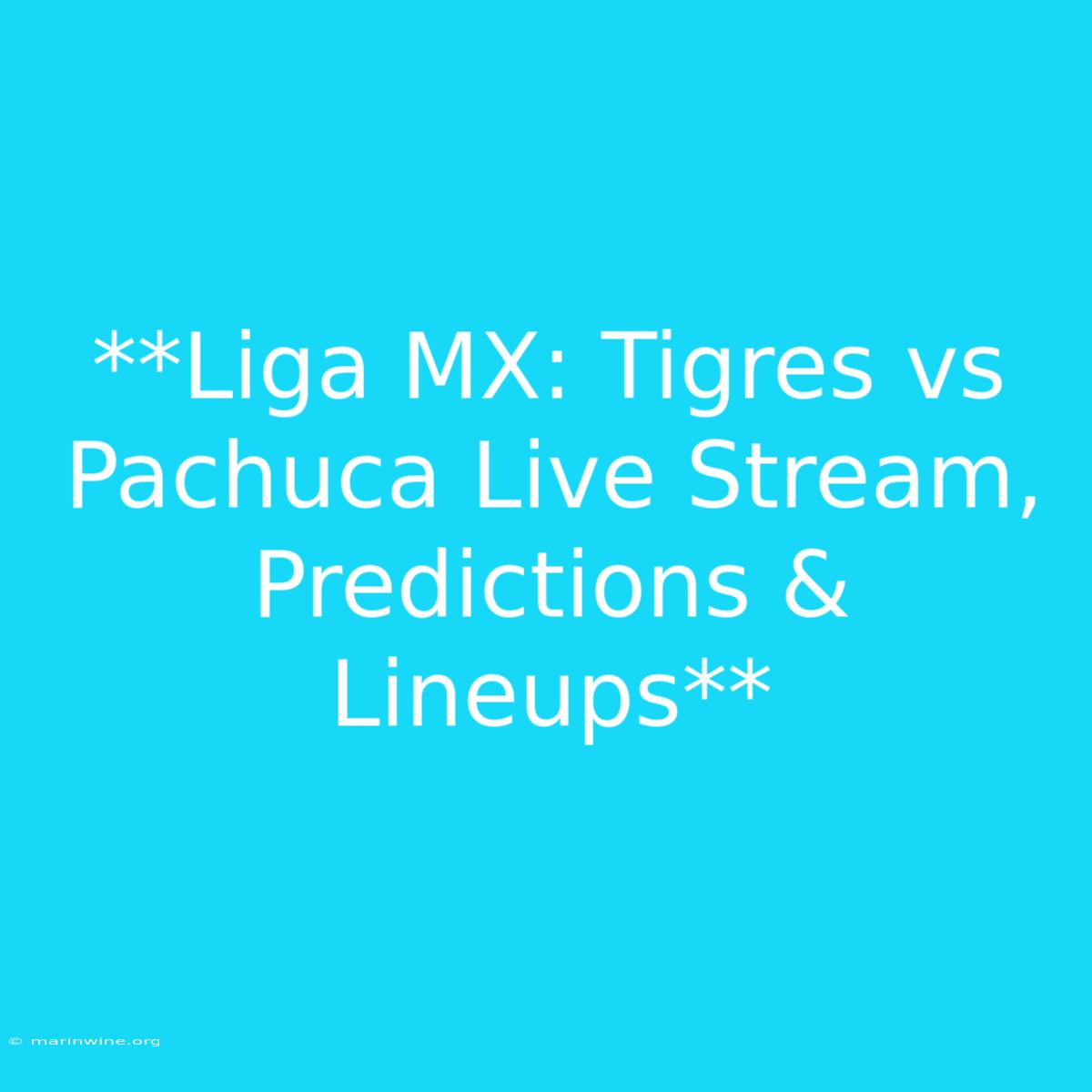 **Liga MX: Tigres Vs Pachuca Live Stream, Predictions & Lineups** 