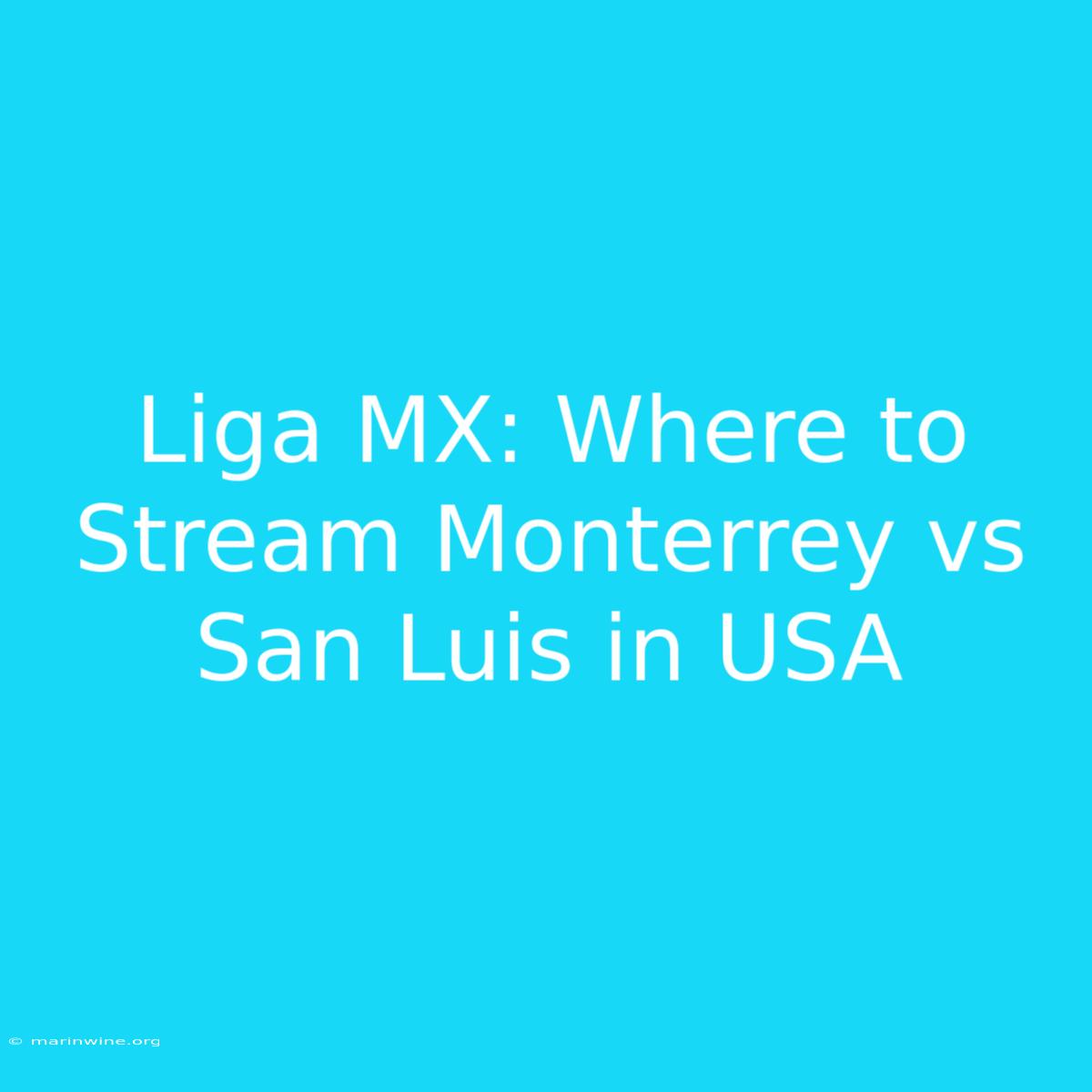 Liga MX: Where To Stream Monterrey Vs San Luis In USA