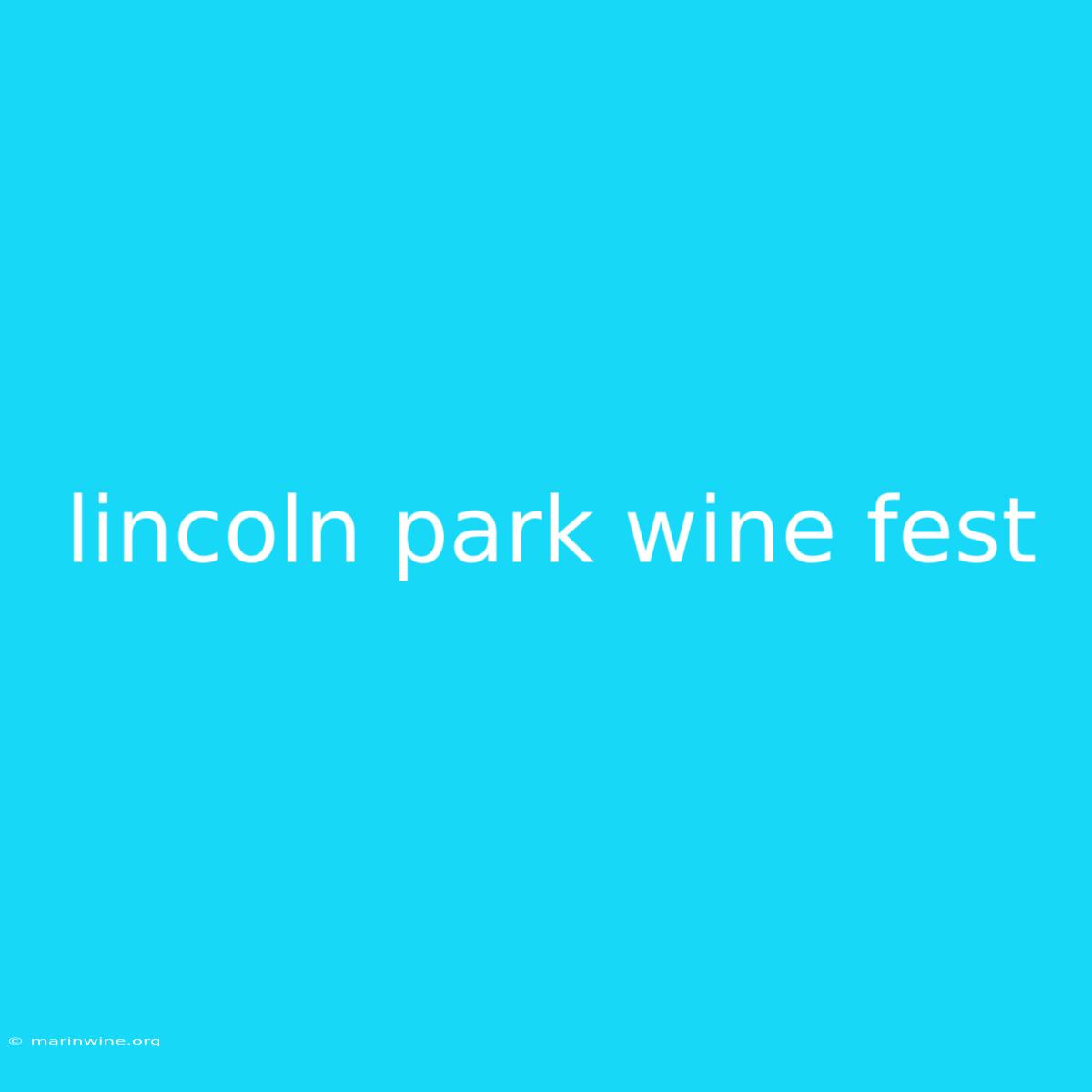 Lincoln Park Wine Fest