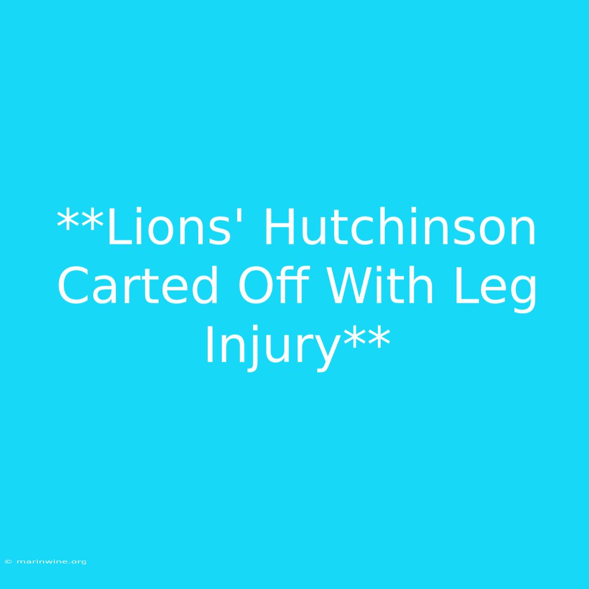 **Lions' Hutchinson Carted Off With Leg Injury**