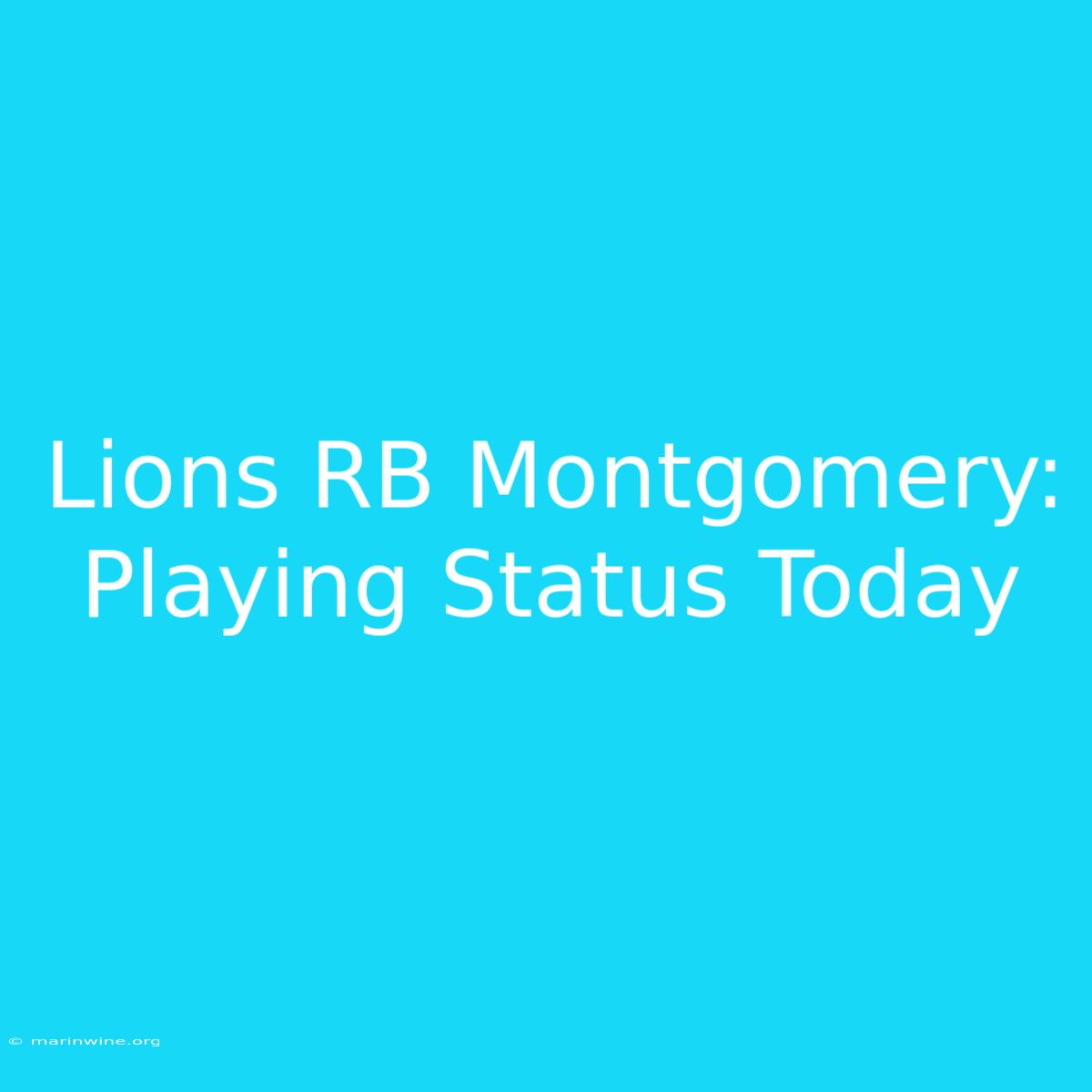 Lions RB Montgomery: Playing Status Today